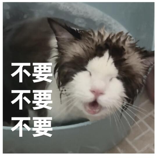 不要洗澡！不要不要不要！