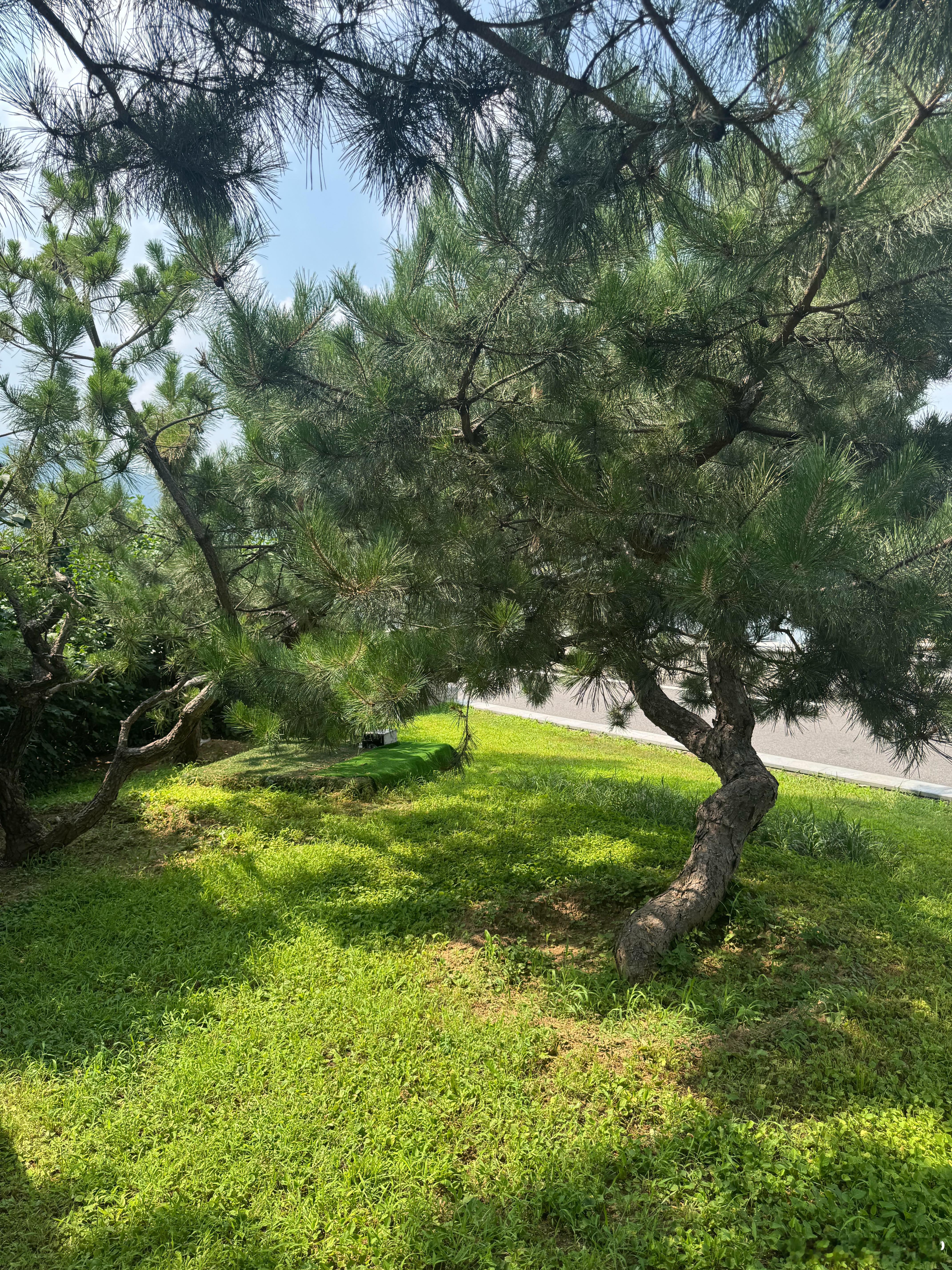 33度… 北京·雁栖湖