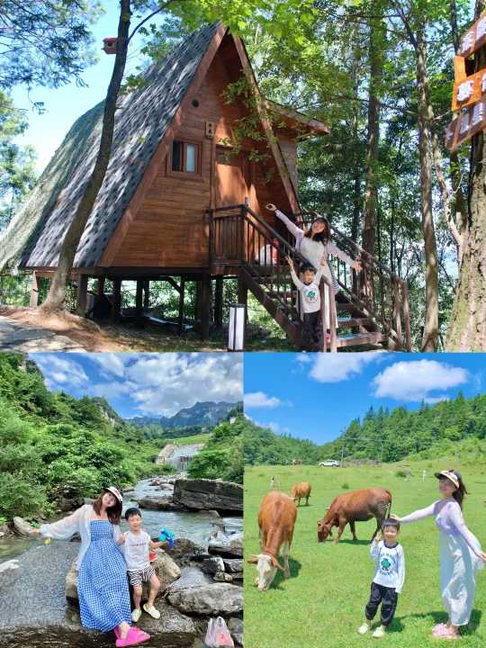 南川|人少线路❗️住森林木屋❗️高山草场+玩水