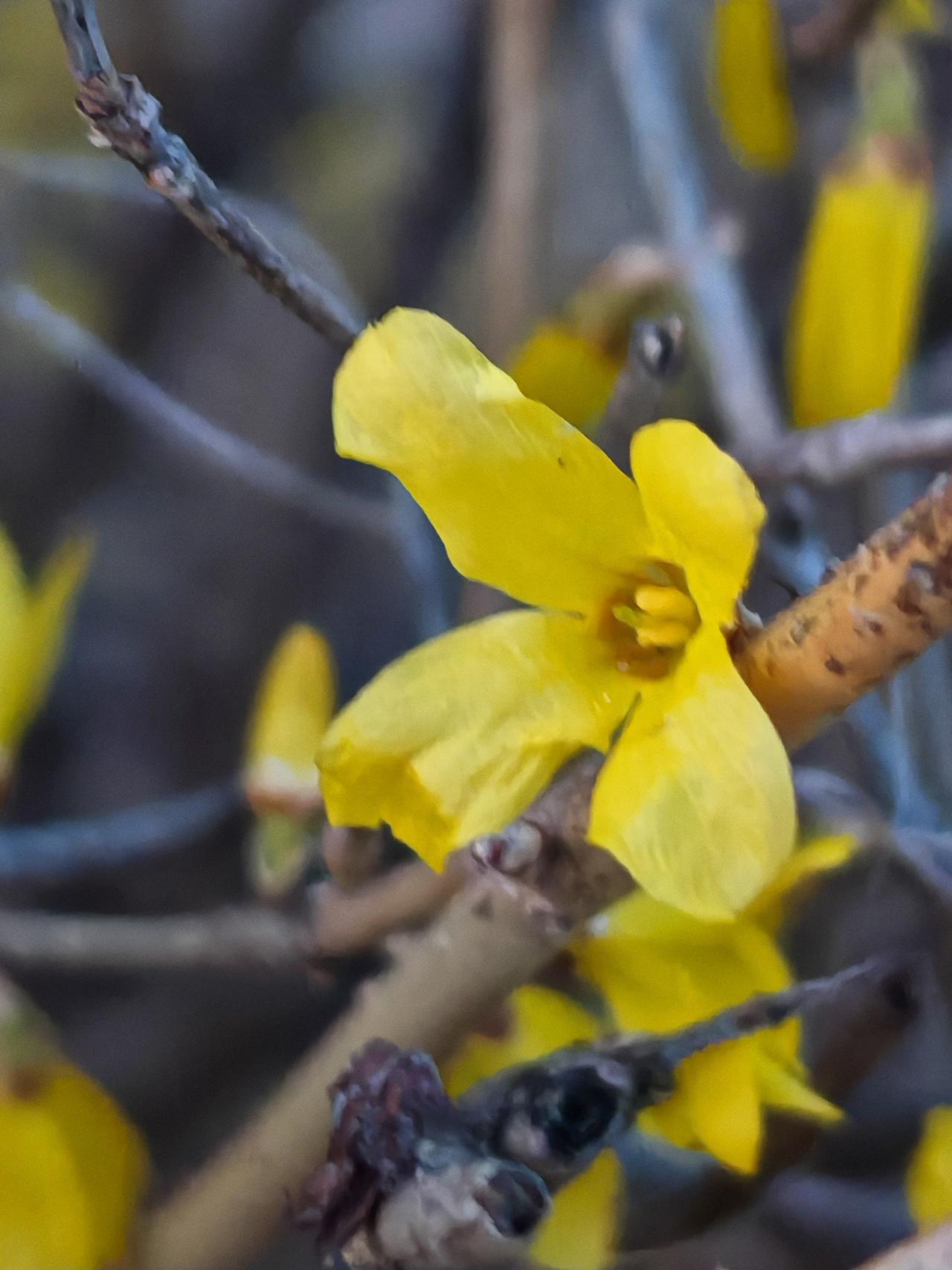 与痛风斗争的历程215
 
   新的一周悄然开启。清晨醒来，窗外飘着淅淅沥沥的