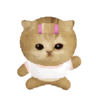 表情包|粉红小猫 