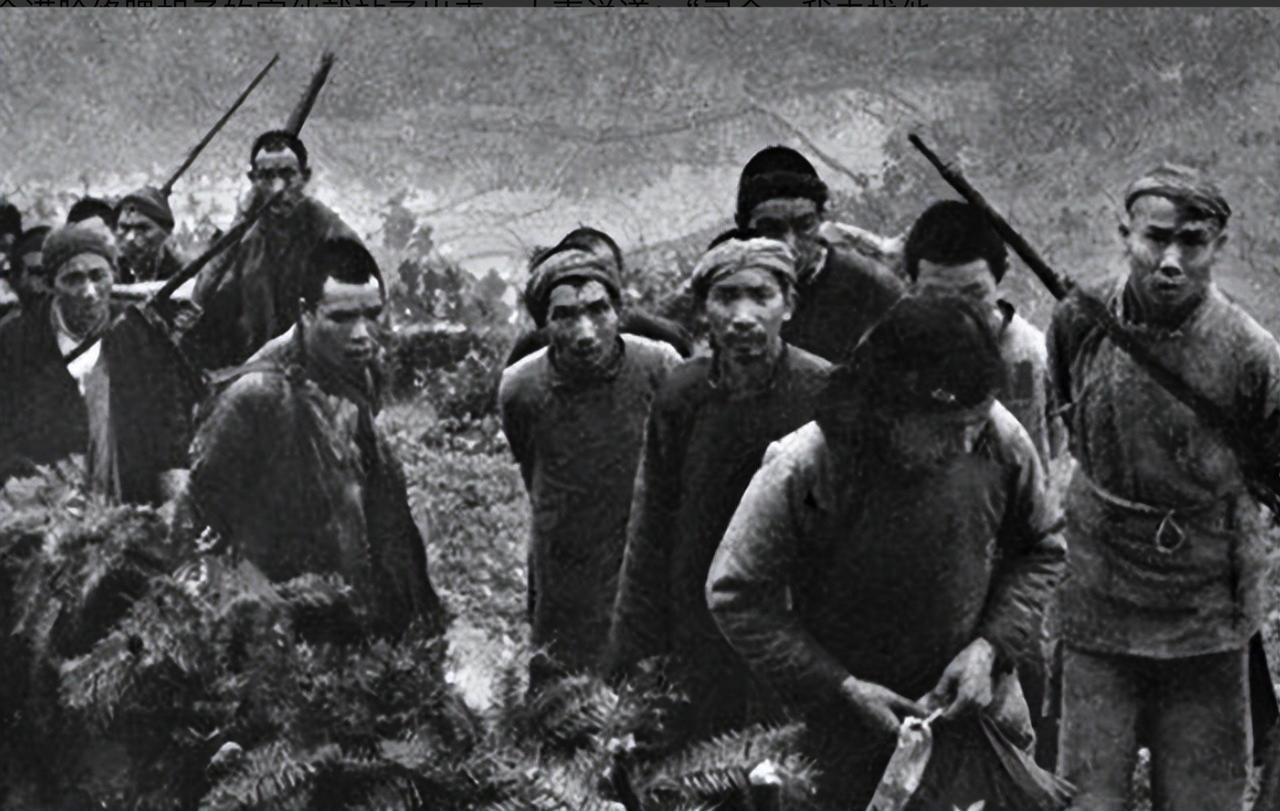 1950年，部队埋锅造饭，土匪悄悄投毒，因5岁儿子馋嘴，误食毒米中毒，意外暴露凶