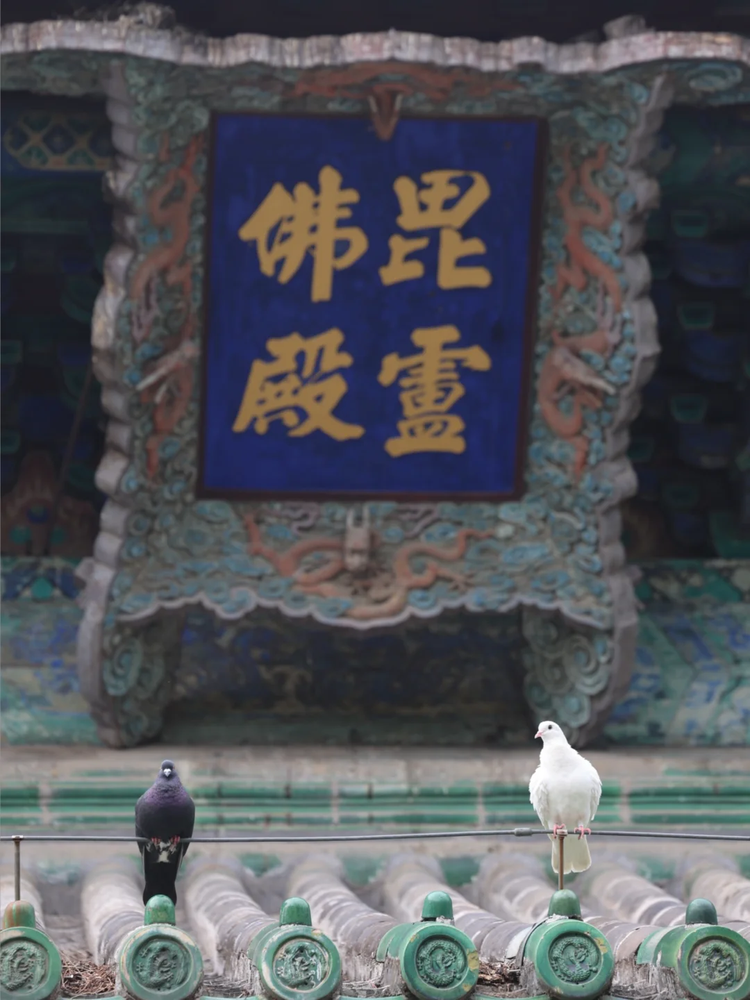 正定古城，你最喜欢哪个照片/建筑？