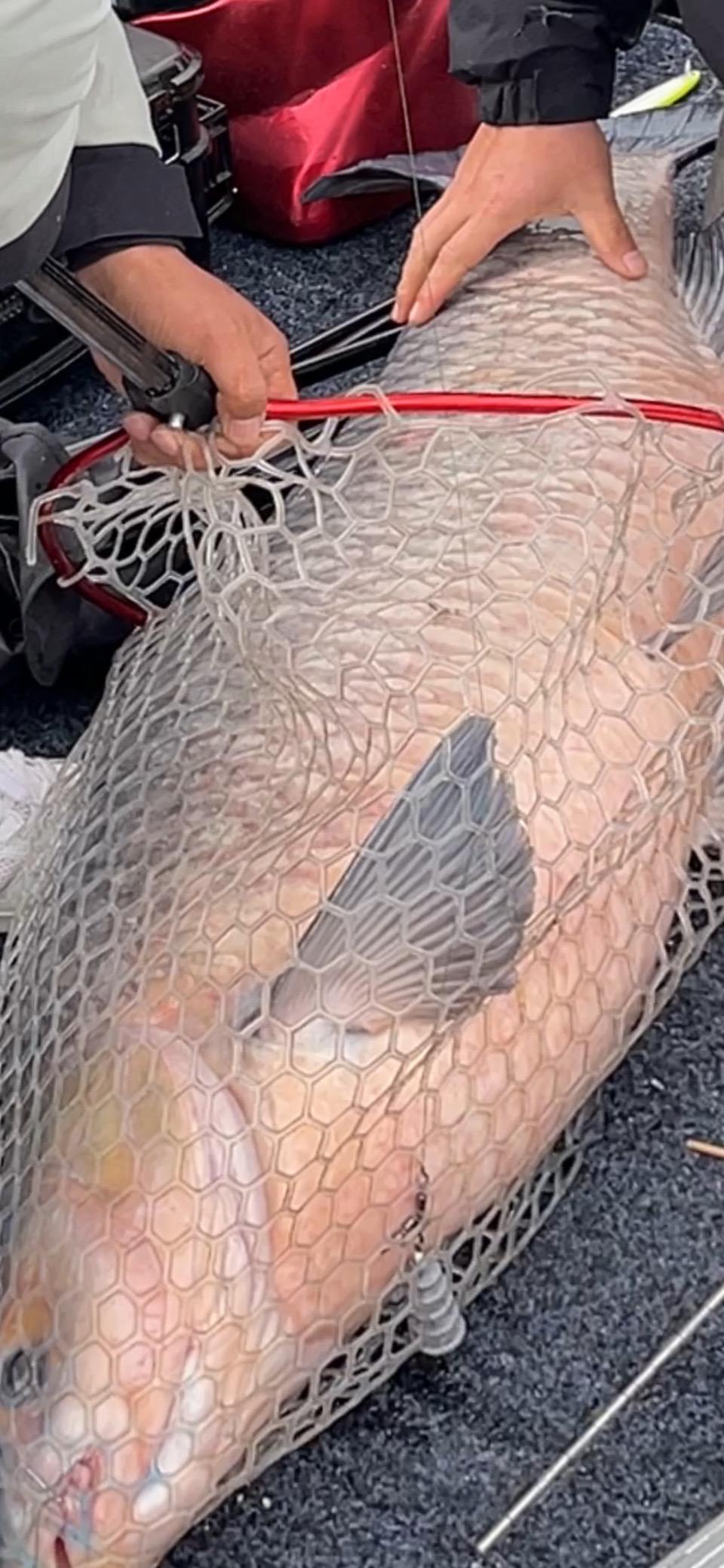 中鱼时抄网没在船尾，打电话叫附近路亚的兄弟抄的，如果我有评论区这位“论剑”兄弟一