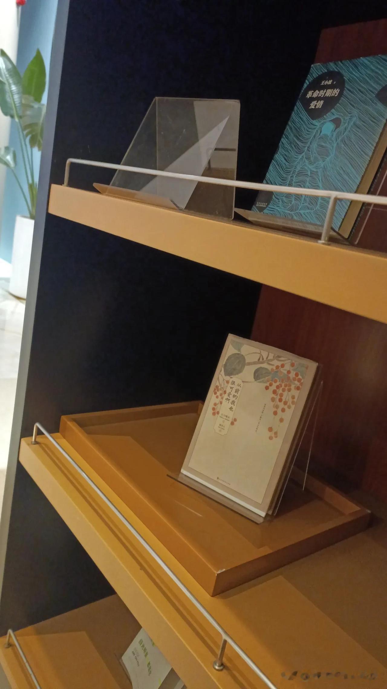 天气冷躲书吧里，看看书。回忆我们相识相知相爱的场景，她还是那么温柔漂亮，我还是那