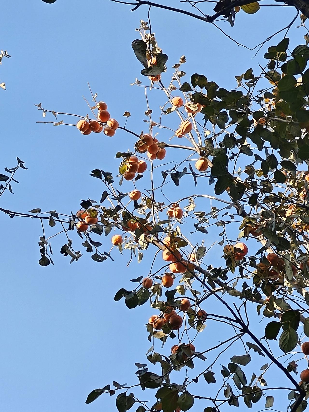 All that you do, do with your might; thi