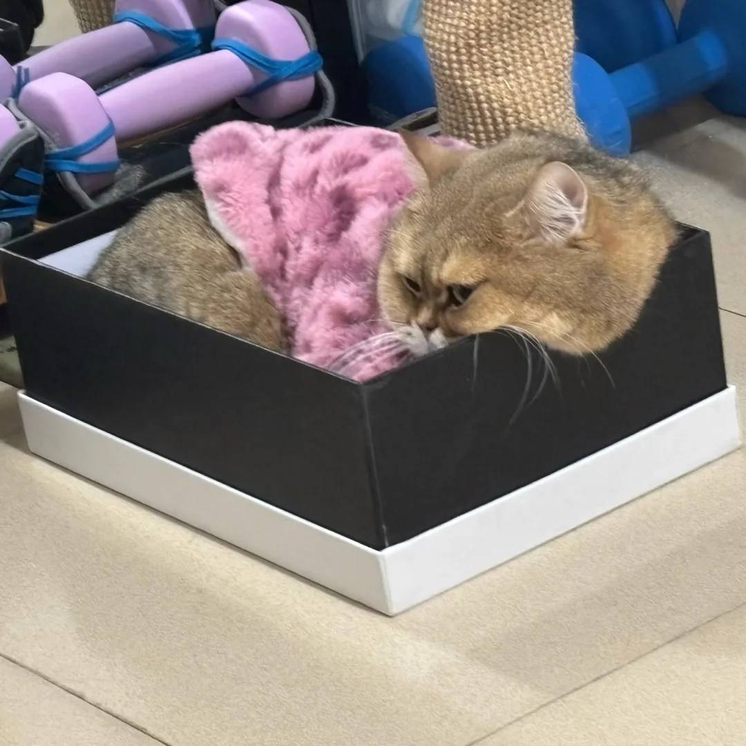 宝宝你胖得溢出来了