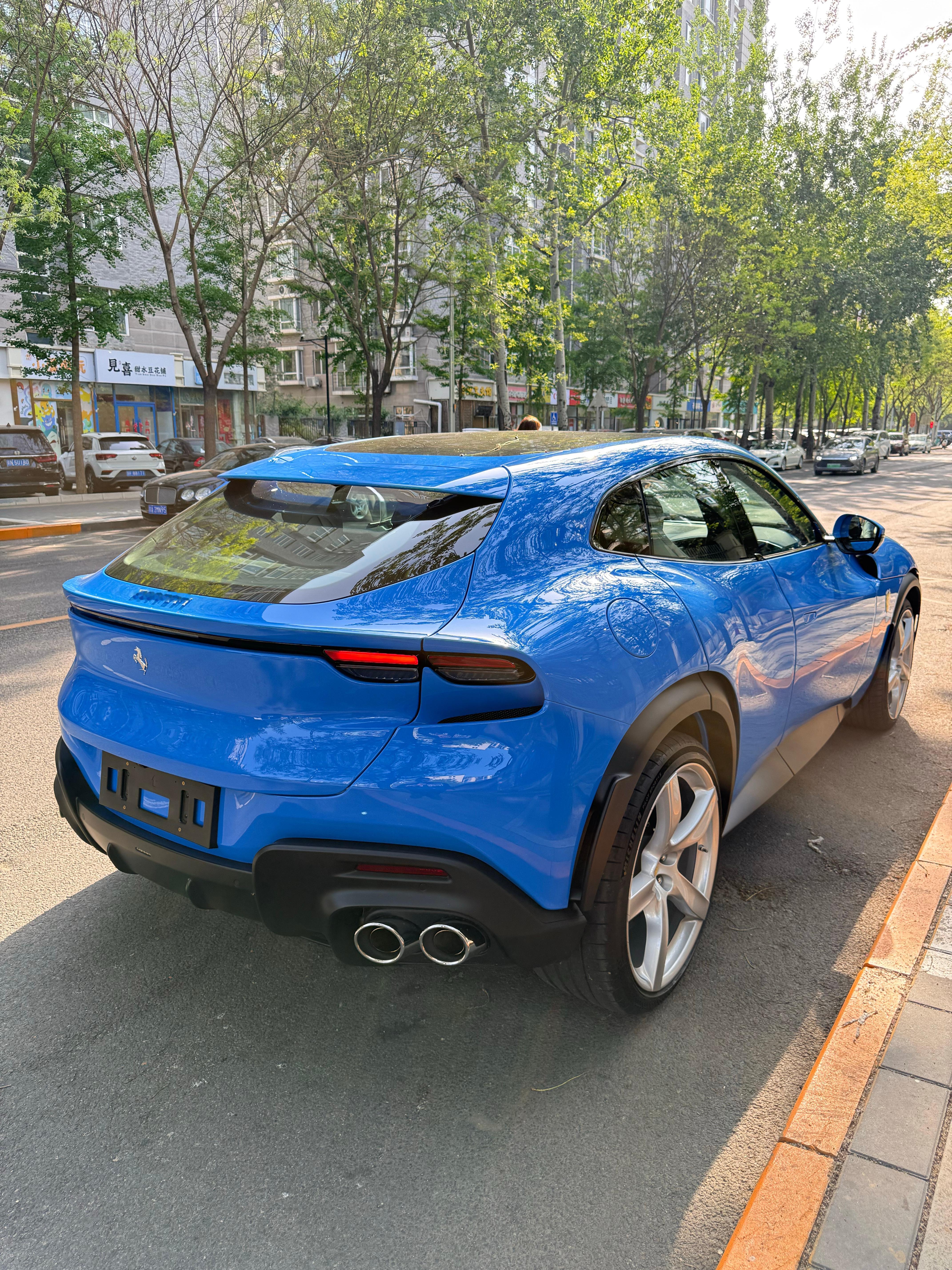 好帅的普肉桑贵  法国赛车蓝法拉利purosanguepurosangue