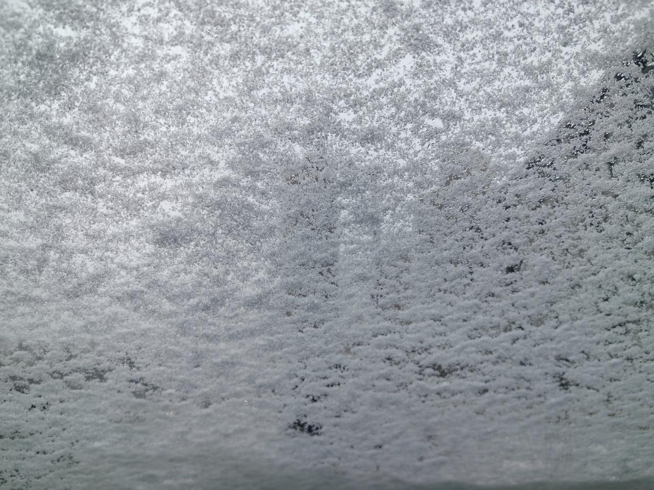 浑南，停车5分钟，车窗这样了！今天特别有意思，6点左右还是没有下雪了，但是在早上