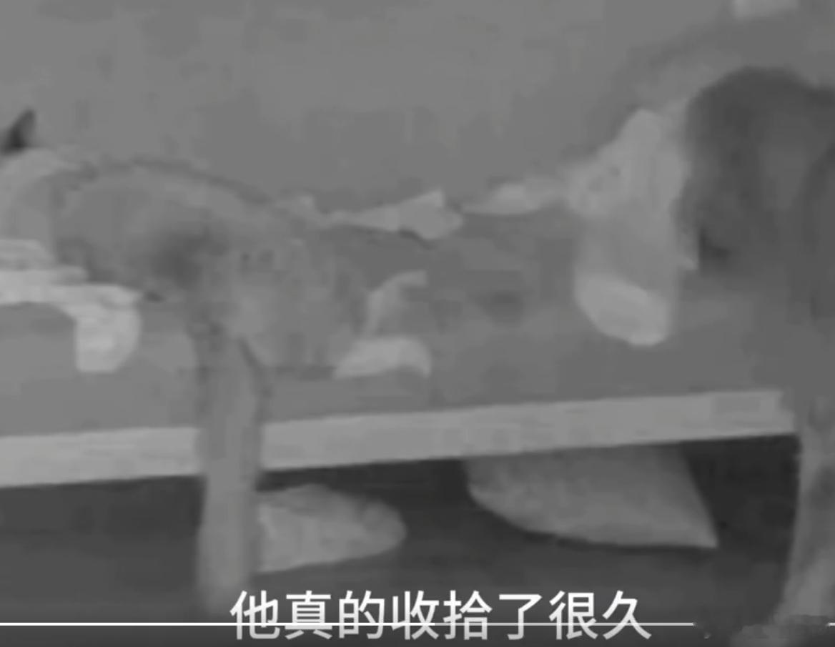 小狗真的很努力 把自己的错给掩盖 尽力了，真的好像做错事提前焦虑害怕被妈妈打的孩