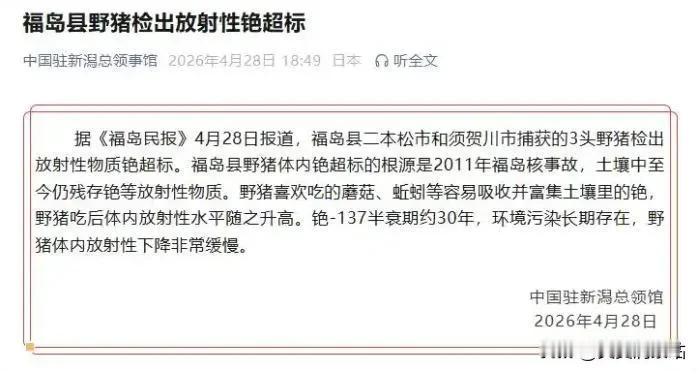 2026年4月29日最新实锤！日本撒了15年的核污染安全谎言，被几头野猪彻底戳穿