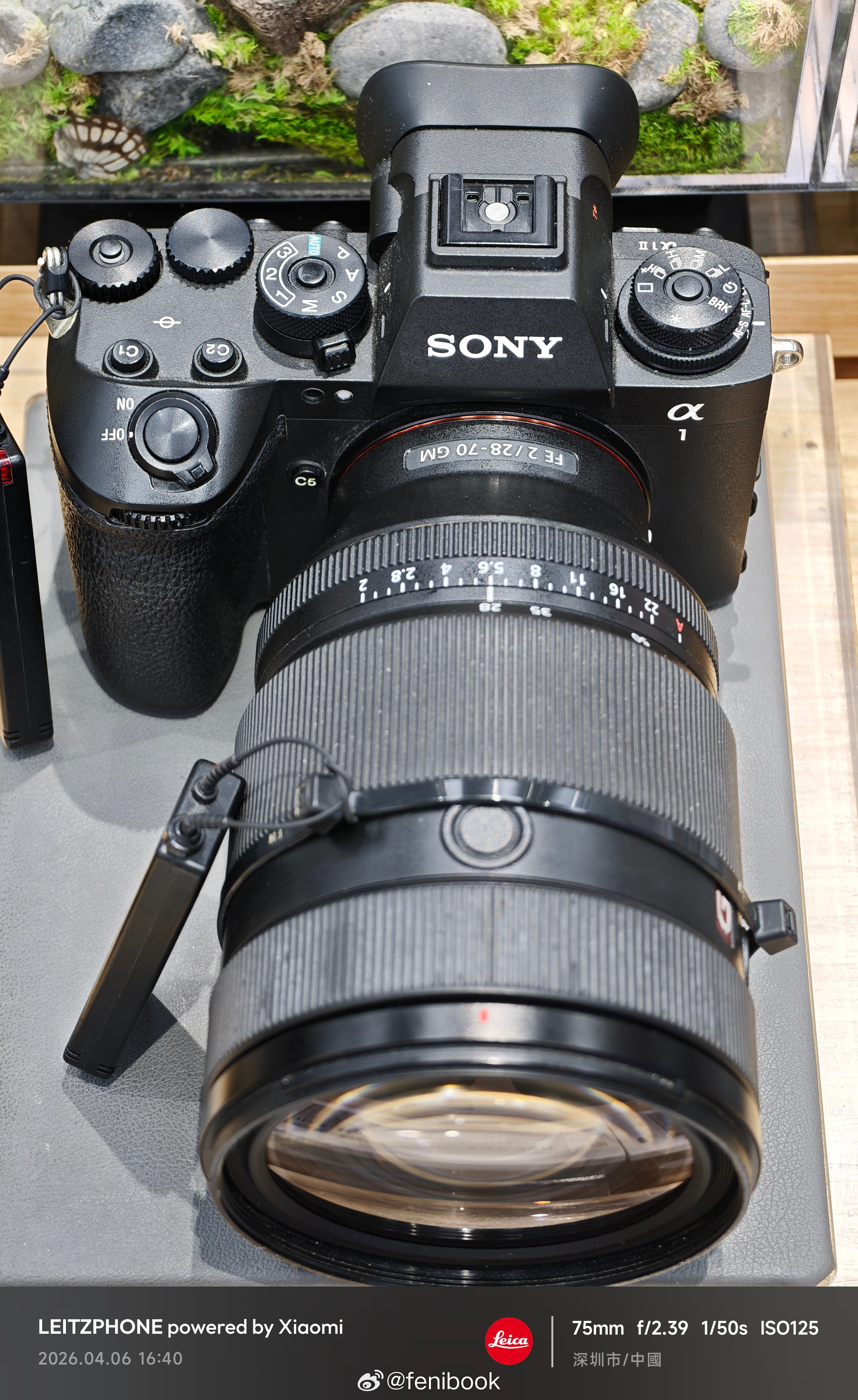 特地来看了索尼Alpha 1 II，该怎么说呢，照片画质确实不如R5，尤其拍人，