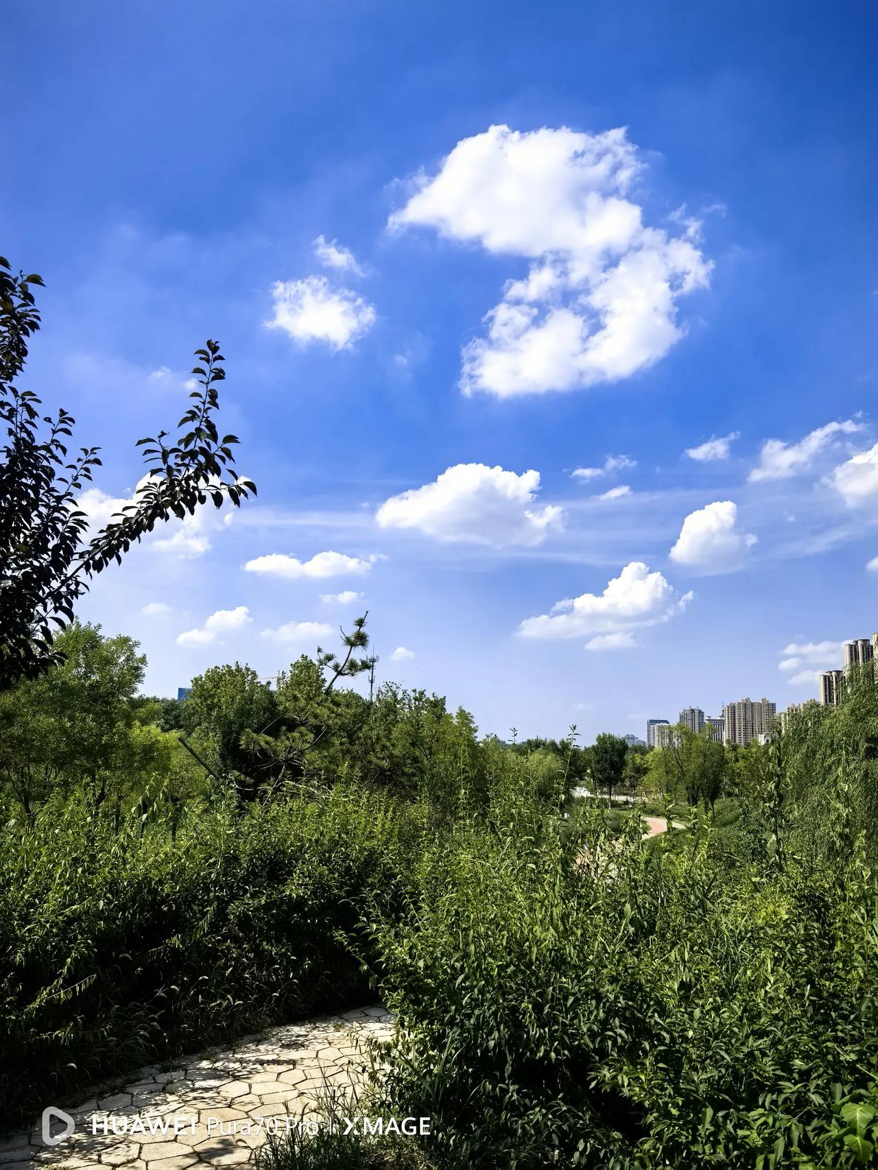 一个是文学天才，一个是青年诗人，先后因被认定为学术不端，硕士学位被撤销，是偶然的