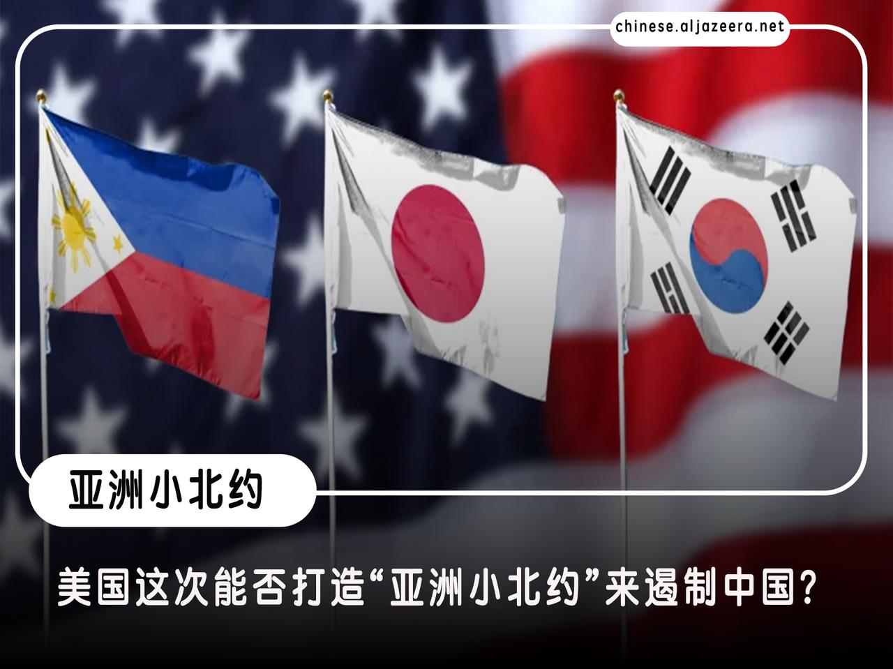 意大利网站“Inside Over”刊登了一篇由作家费德里科·朱利亚尼撰写的报道