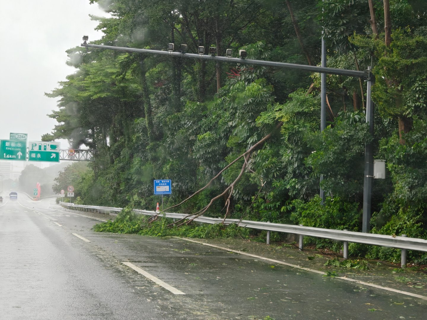 深圳台风感受一下台风这还是小场面[允悲] ​​​