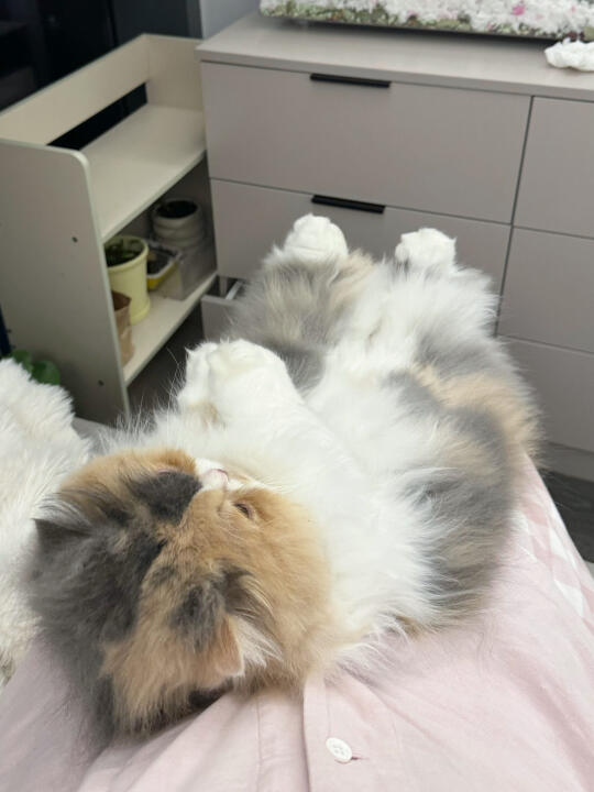 你敢闻吗