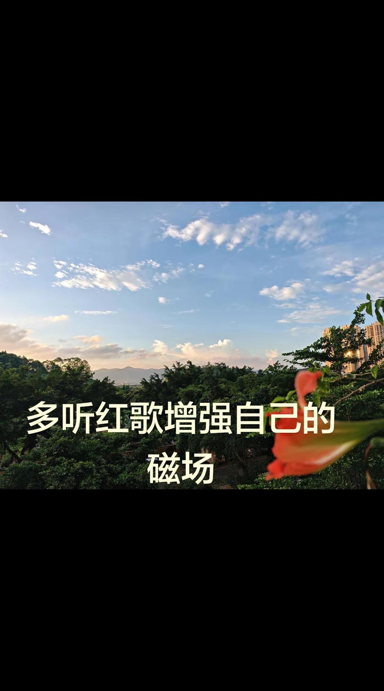 花与天空的邂逅