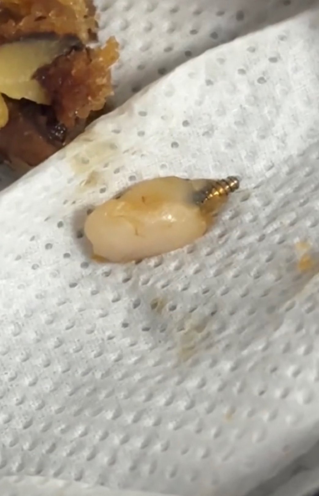 山姆客服回应枣泥核桃蛋糕吃出牙 你这么一说还真的有点像核桃片....我看了一会瞬