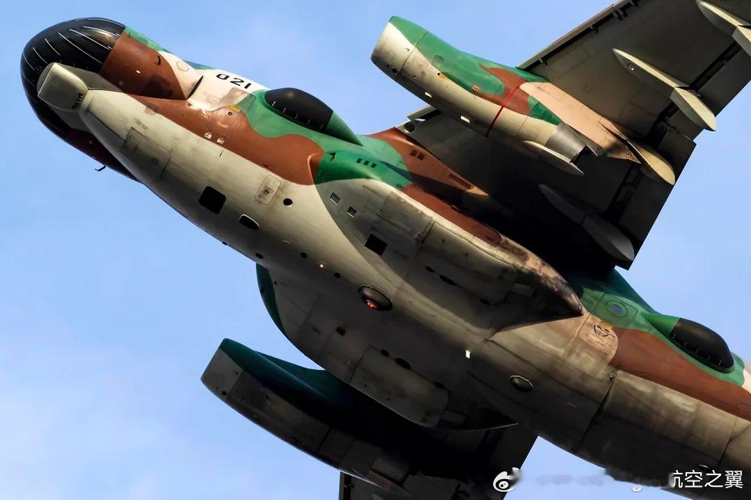 对比日本新老腊肠嘴的下巴 