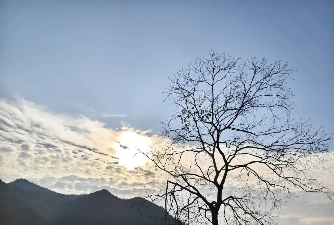 老公元旦辞职回家，整个人像关机。
白天刷手机，晚上背对我睡沙发，三个月没碰过我。