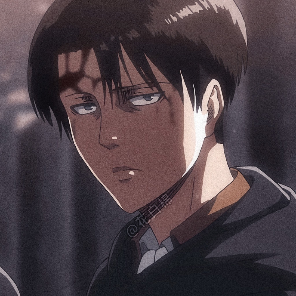 巨人  利威尔  Levi ❣️ฅ •́ ₃•̀ ❣️ 