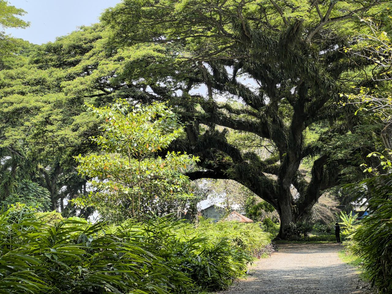 比亚迪是一个伪装成智能新能源汽车制造企业的科技企业，必将在新能源汽车，机器人，电