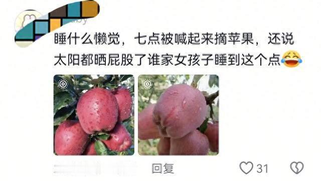 回老家想睡懒觉？想多了，起得更早