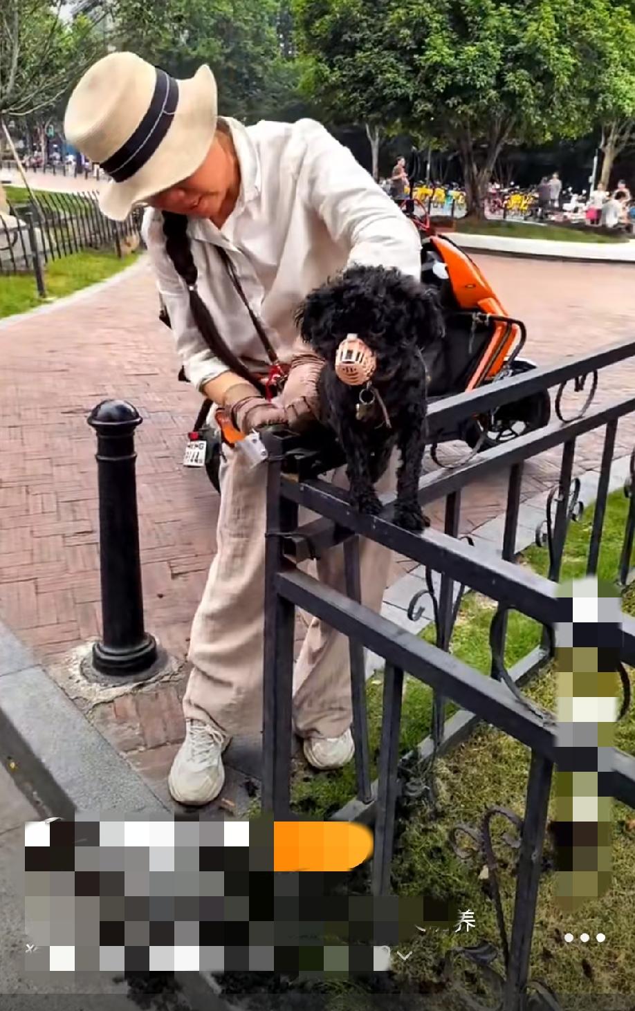 湖北武汉，在最繁华的江汉路，这位大妈当街给宠物狗剃毛……
不想把自己家弄脏，把狗