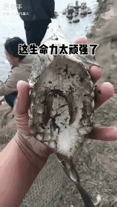 没良心还可以活🉐更久吗？[what]