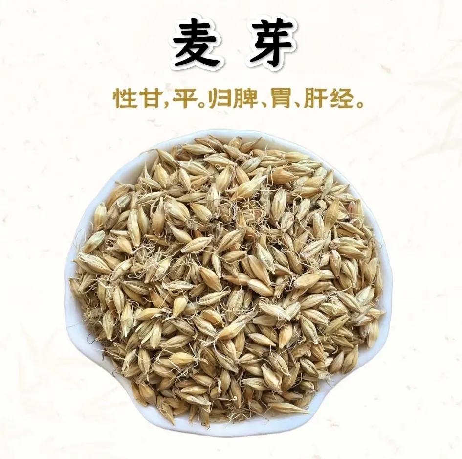 比起柴胡，医家张锡纯更推荐用麦芽疏肝

柴胡疏肝虽快，但它的升散力太强，容易耗气