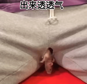 现在成了裸奔人士 