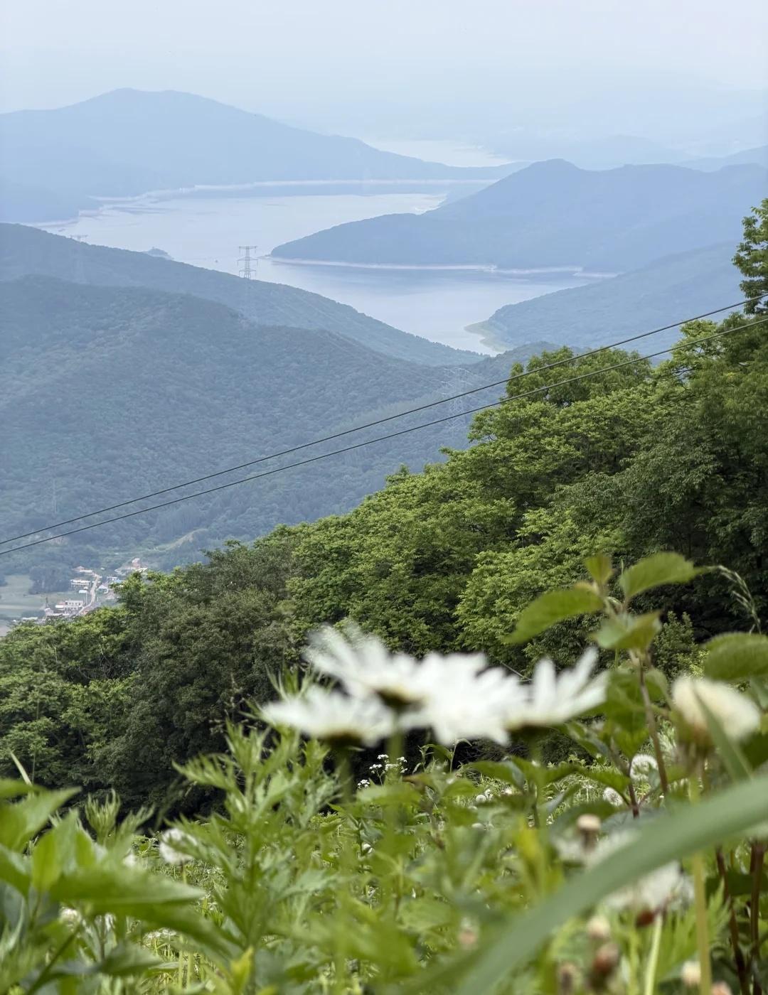⛰️周末就去爬山吧|附松花湖青山爬山攻略！
大青山主峰海拔935米，夏季22℃天