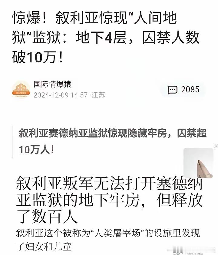 阿萨德太凶残了，居然还养着十万囚徒，但是叛军却仅仅释放了几百人牢房就空了[dog