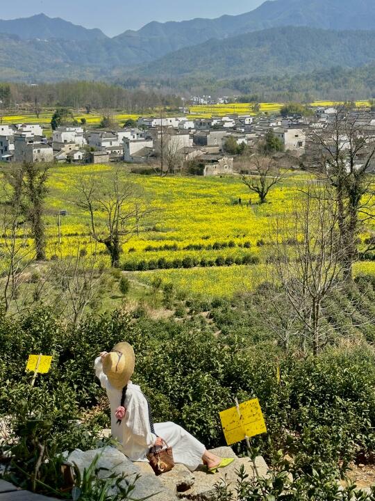 皖南之春🌼徽州限定 徽式建筑配油菜花的美