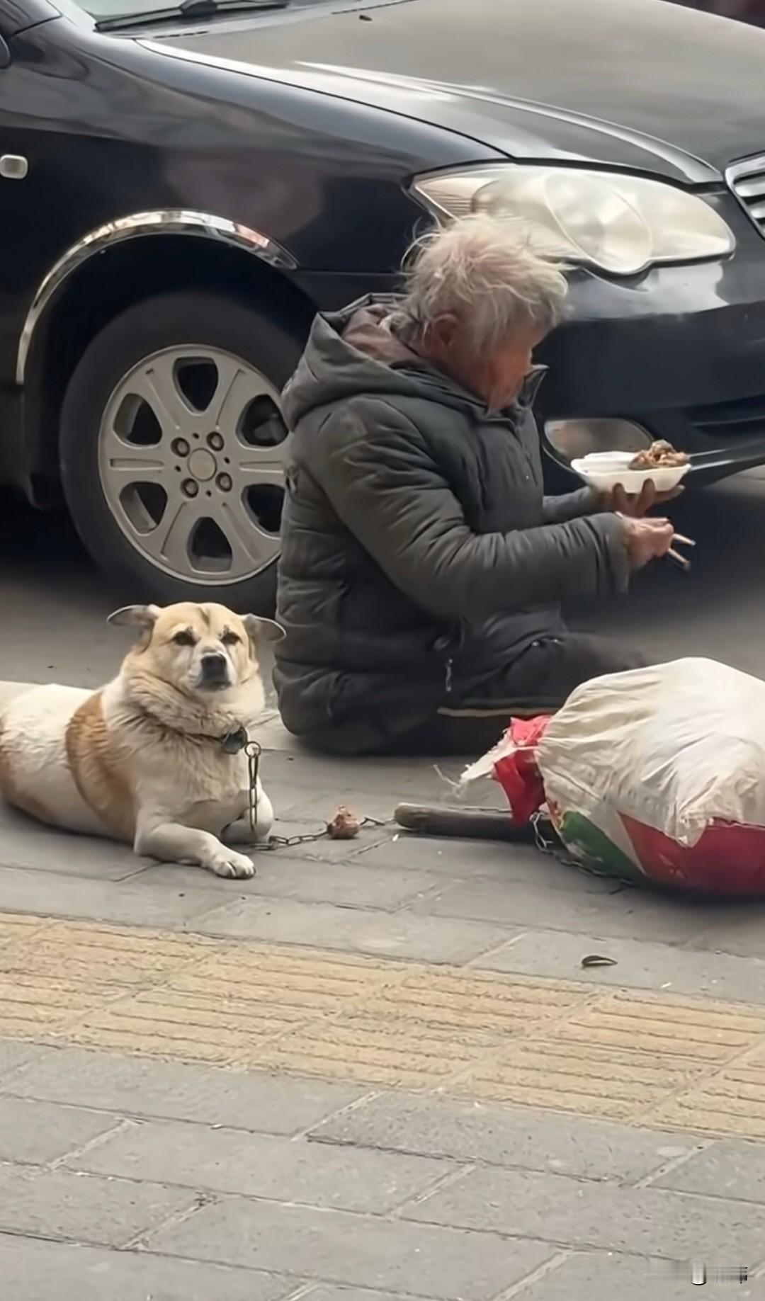 泪目了！这天，一位小姐姐去逛街，结果走到一条商业街上的时候，看到了无比凄惨的一幕