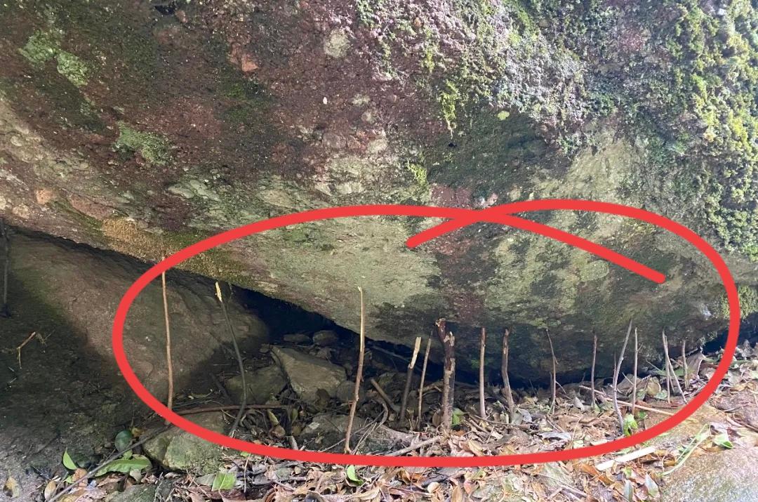 爬山时总见山岩下支着小树枝
之前问导游才知道
这可不是随便摆的！
 
老辈山民靠