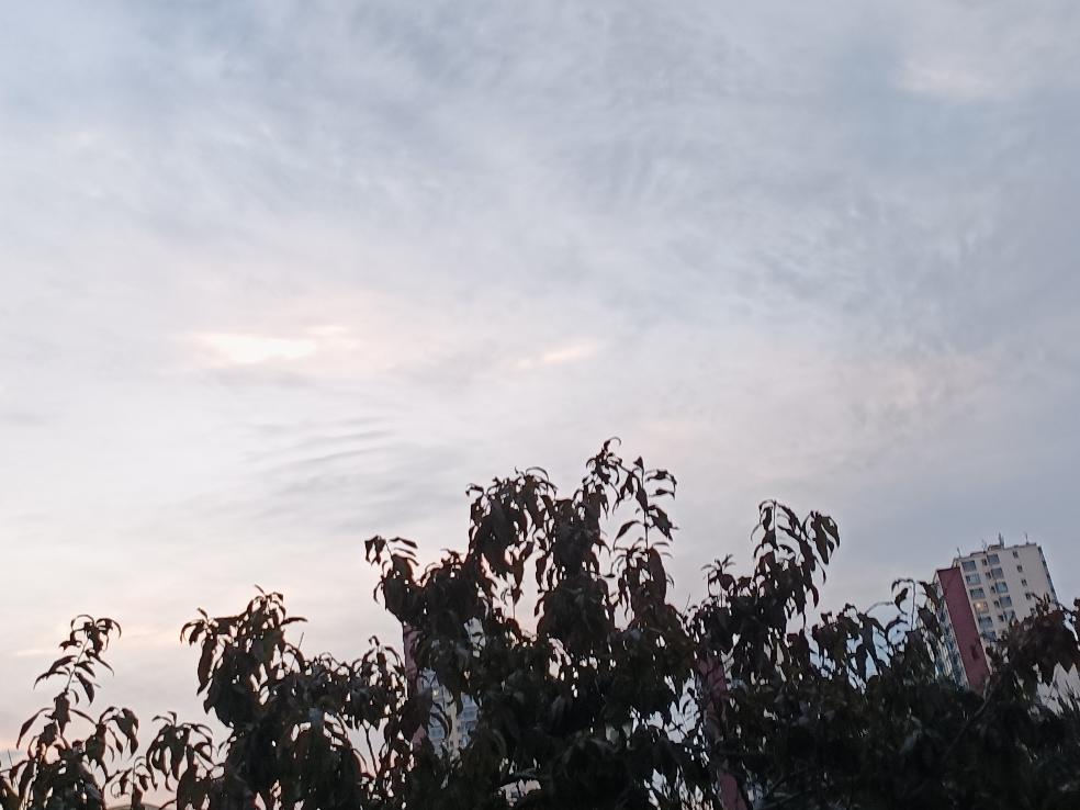 留恋傍晚的天空