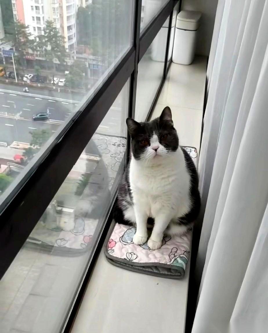 指数拉得真漂亮啊，红彤彤的，不知道的还以为大牛市又回来了。
结果呢？
打开自己的