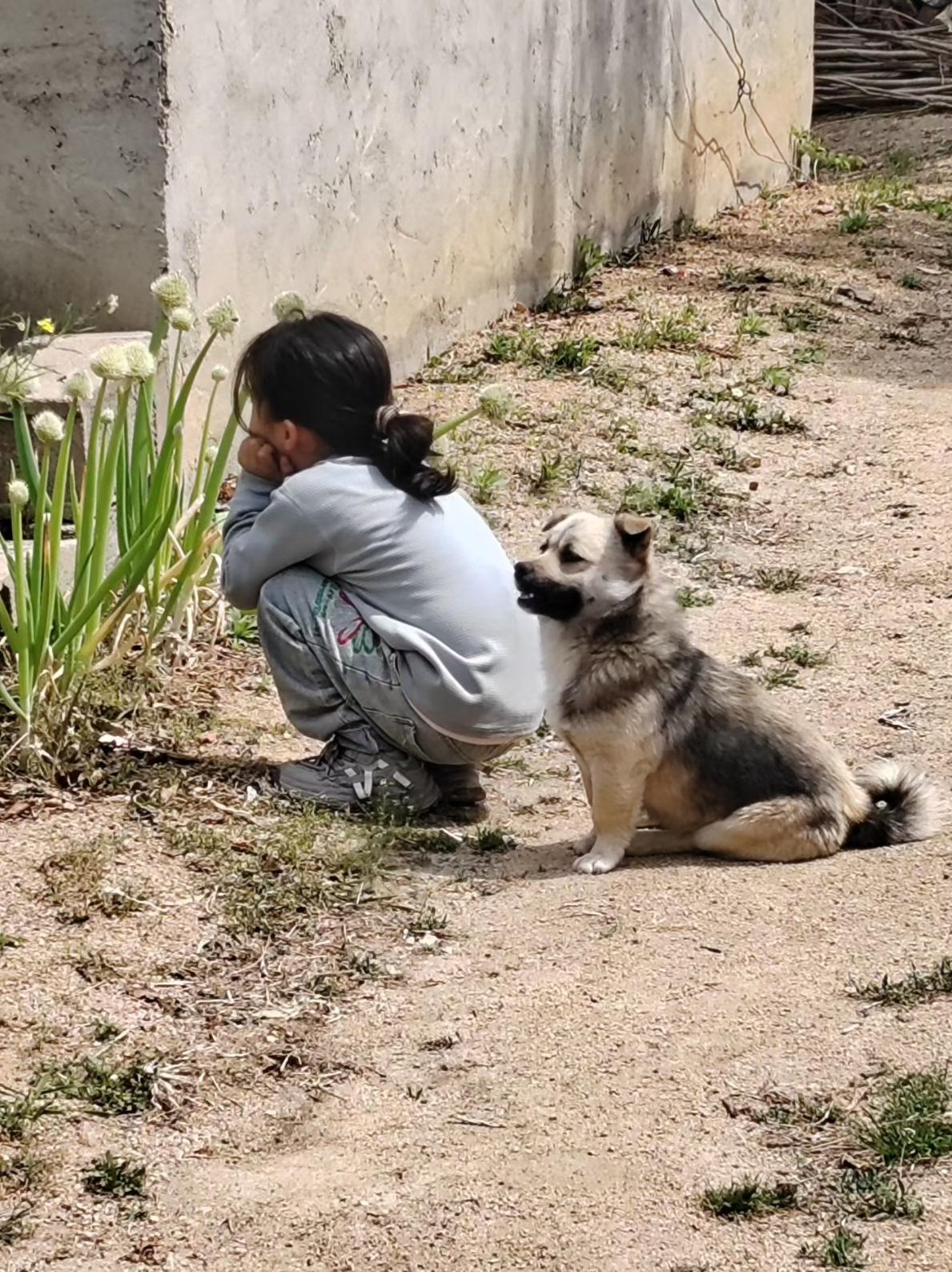 这是在思考人生吗？