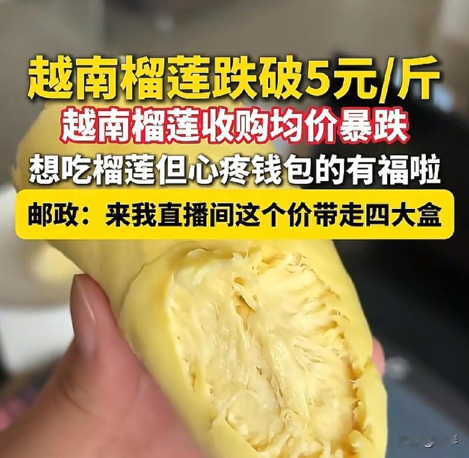 进口5块一斤的榴莲，这“自由”能薅几天？

 
刷到越南榴莲5块钱一斤的时候，我