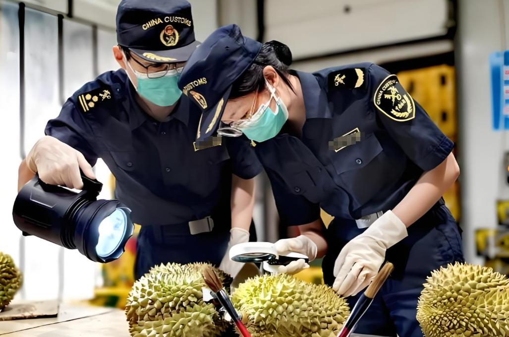 失去中国市场，大量水果烂在地里后，就开始后悔得罪中国了。

最近这几年，有个现象