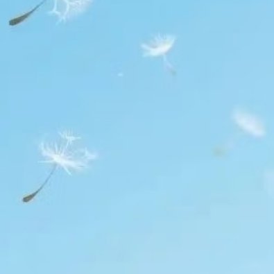 森林驿站 自己的命运从来都是掌握在自己的手中，好生活在于进取，也在于知足。做自己