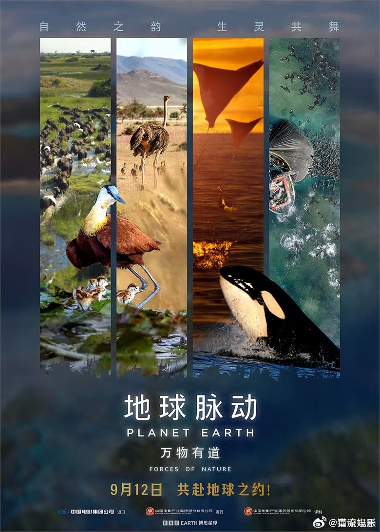 地球脉动万物有道定档 《地球脉动》系列IP大电影《地球脉动：万物有道》今日官宣9