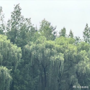 你有没有发现，你最爱说的一句话是“没事”。被领导骂了，你说没事。和朋友闹别扭了，