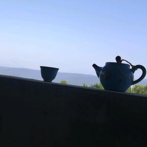 爱喝茶的玩者