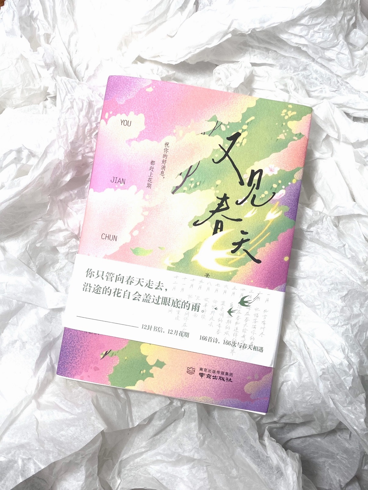 “又见春天｜枯树逢新芽”💐 