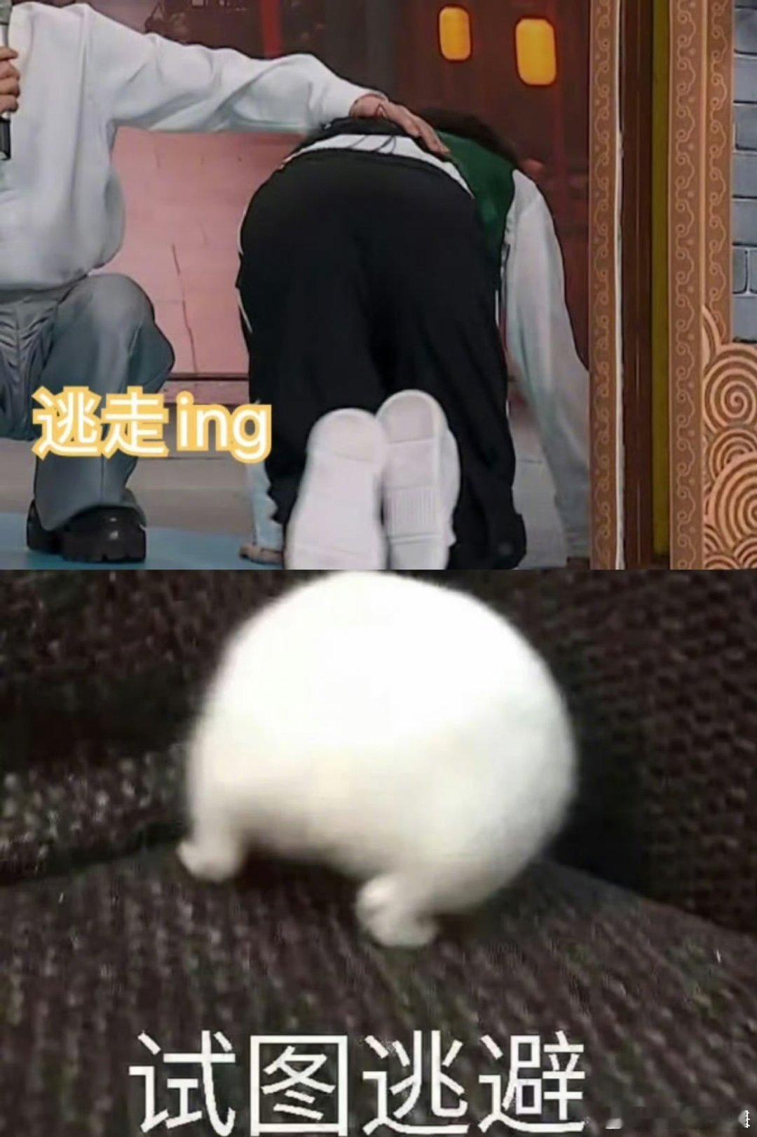 丁程鑫最想删掉的一段你好星期六丁程鑫赛前预想的是游刃有余，赛后却是连滚带爬，尴尬