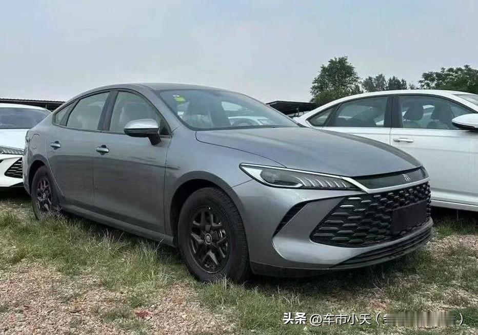 比亚迪旗下的多款车型插混车型都开始提升纯电续航，目前主要集中在王朝网车型。比如秦