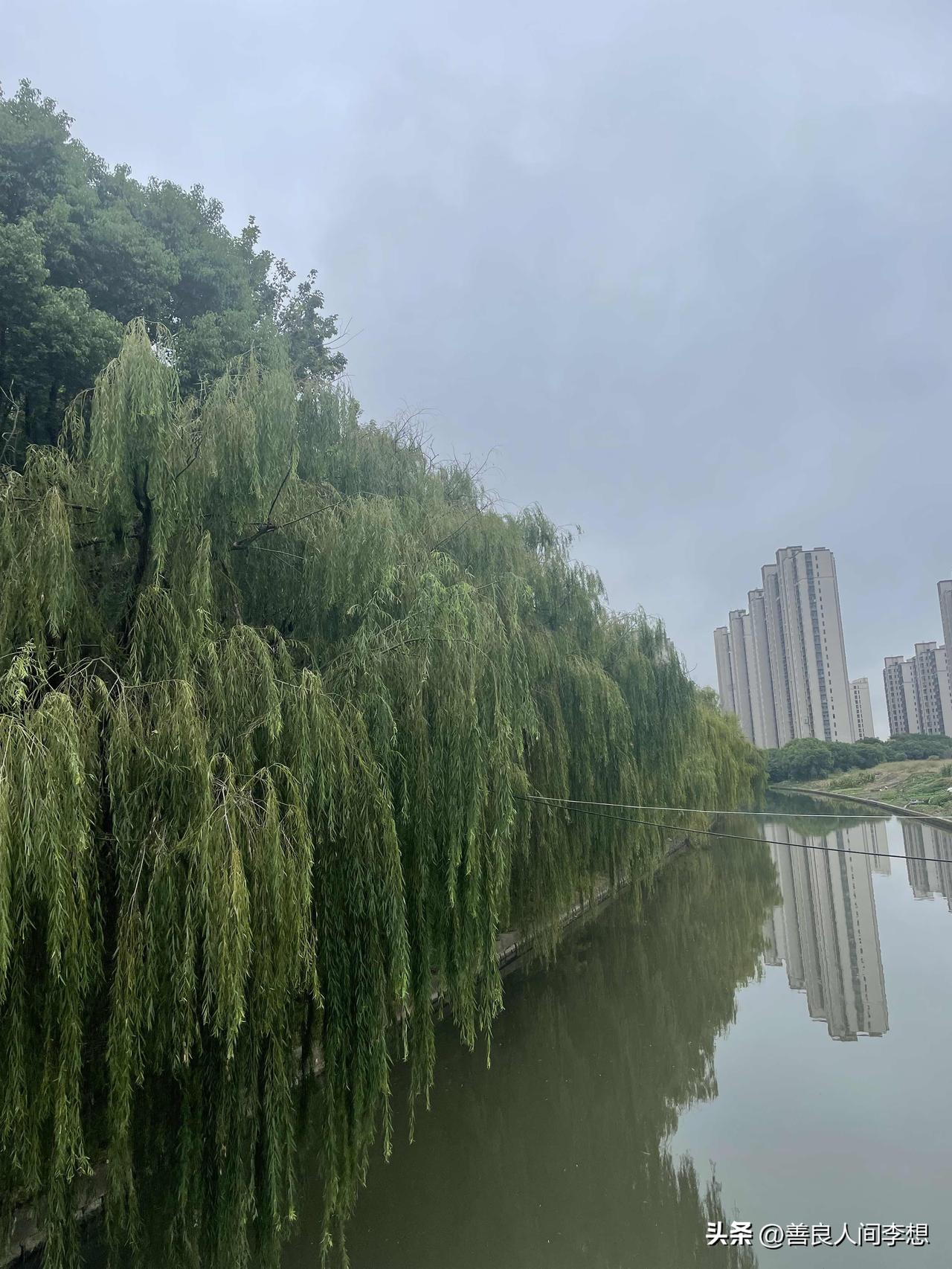 今天的天气阴沉沉的，空气中散发着潮湿，有风但不凉，我还是穿短袖，给小宝穿了一件薄