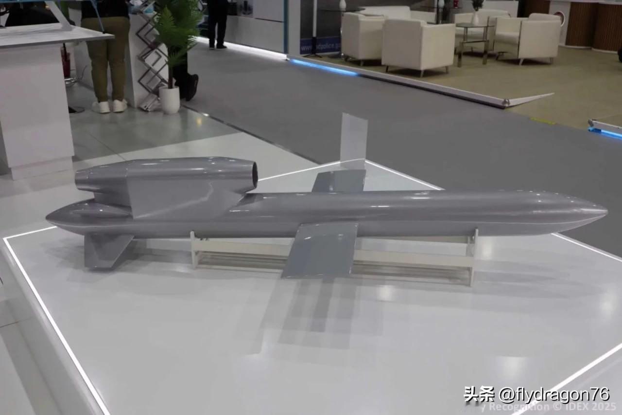 🇦🇪🇺🇦 阿联酋计划收购乌克兰“火烈鸟”（Flamingo）巡航导弹研发